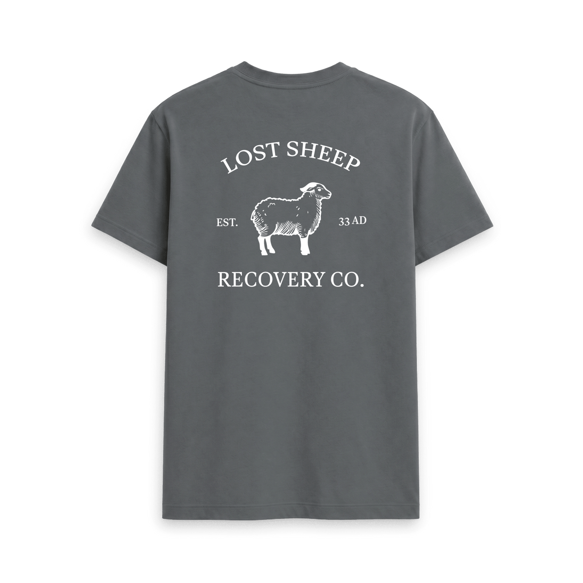 Slate Grey Printed T-shirt Back