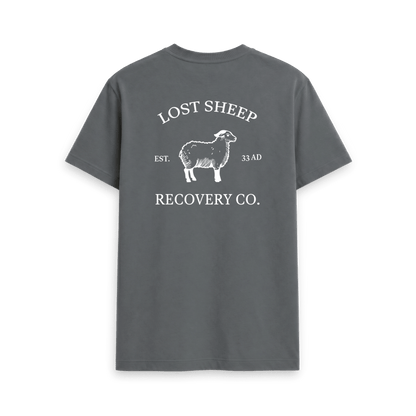 Slate Grey Printed T-shirt Back
