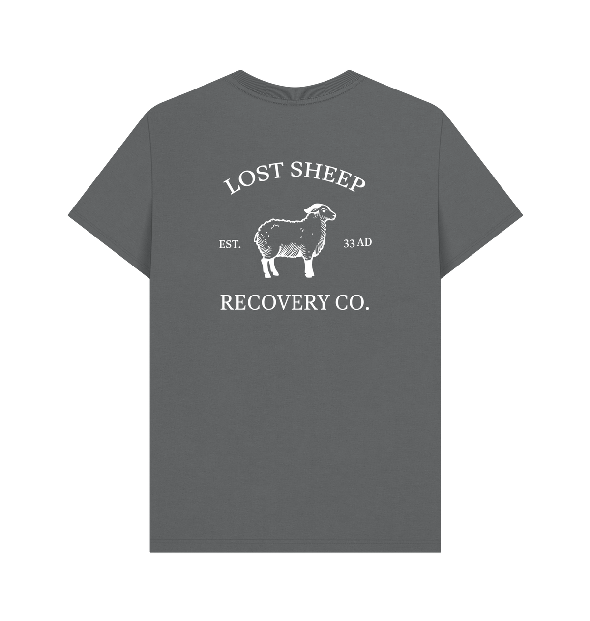 Slate Grey Printed T-shirt Back
